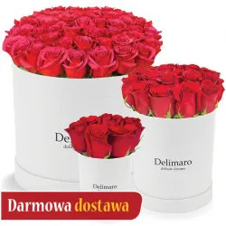 Red roses in a white box