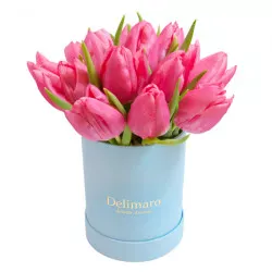 Pink tulips in a blue box