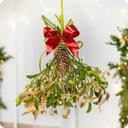 Mistletoe - Christmas decoration