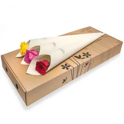 Coloured roses in white cones