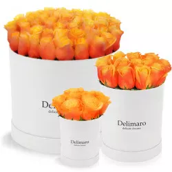 Herbaciane róże w białym pudełku