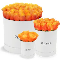 Herbaciane róże w białym pudełku