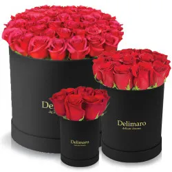 Red roses in a black box