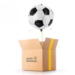 Ball – balloon with helium