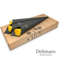 Single yellow rose in black cone