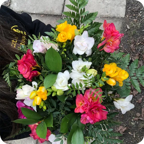 A bouquet of colourful freesias