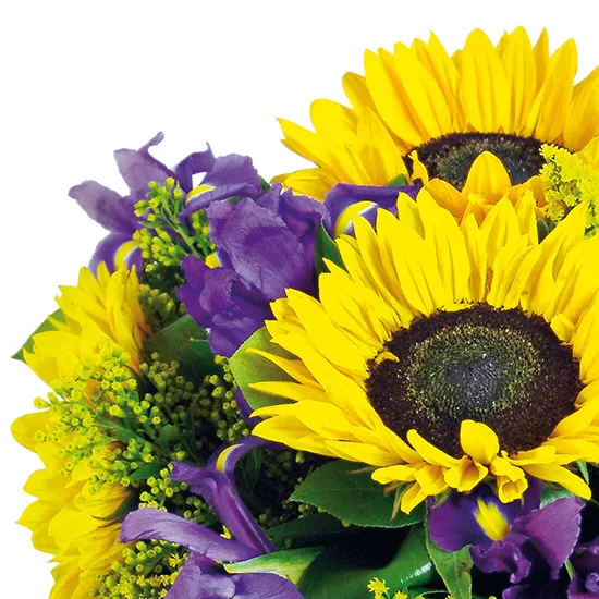 Good morning flowers