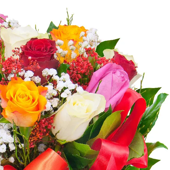 Flowers- colourful roses