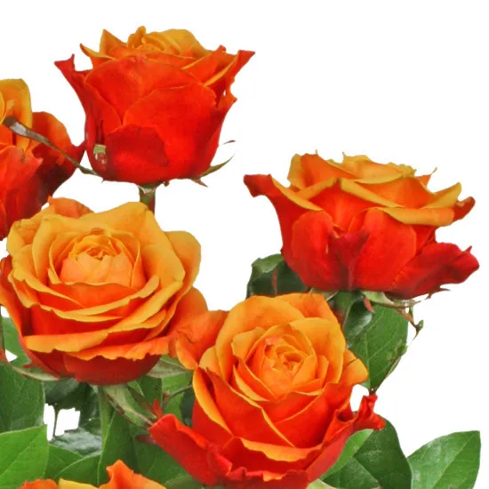 Happy birthday boquet