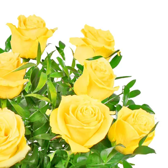 Sunny flowers
