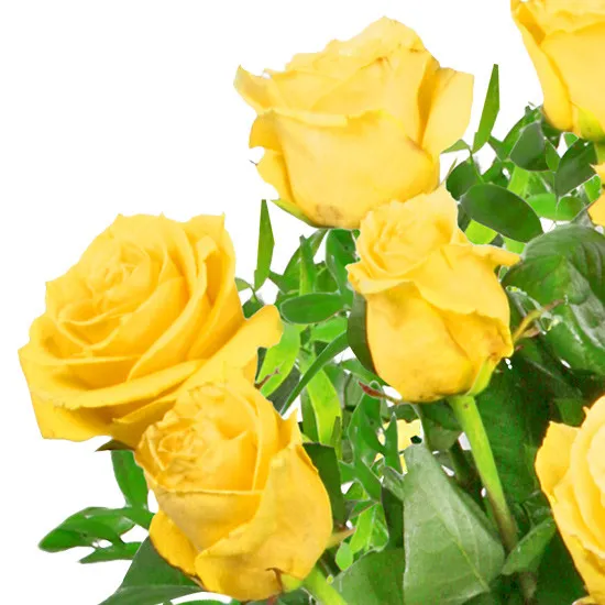 Sunny flowers