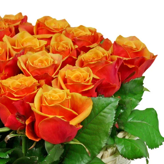 Kompozycja Gorące uczucie