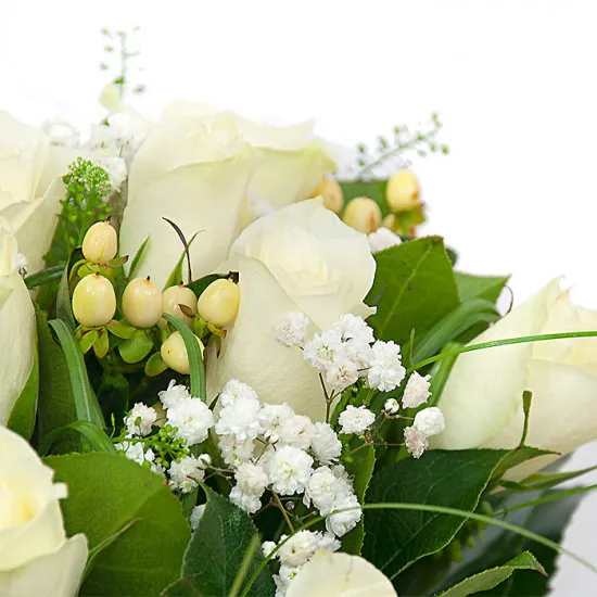 Alluring flowers