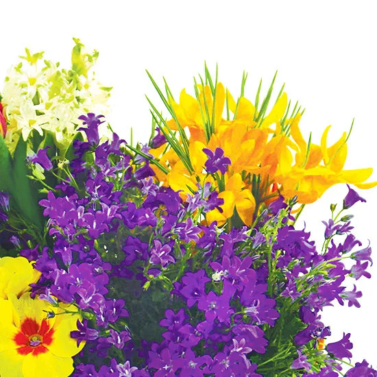 Kompozycja balkonowa