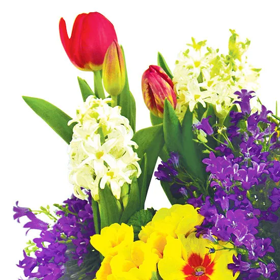 Kompozycja balkonowa