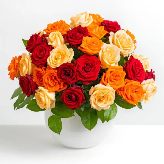 Kiss of Roses