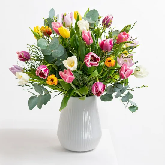 Świeży i szczęśliwy