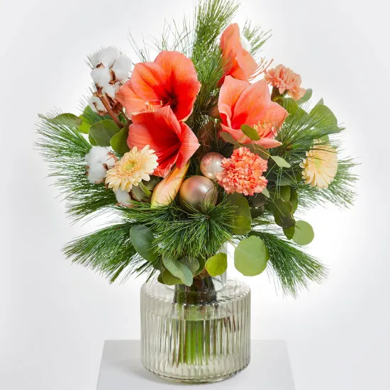 Apricot Dream