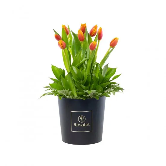 Rosatel Tulip Hatbox