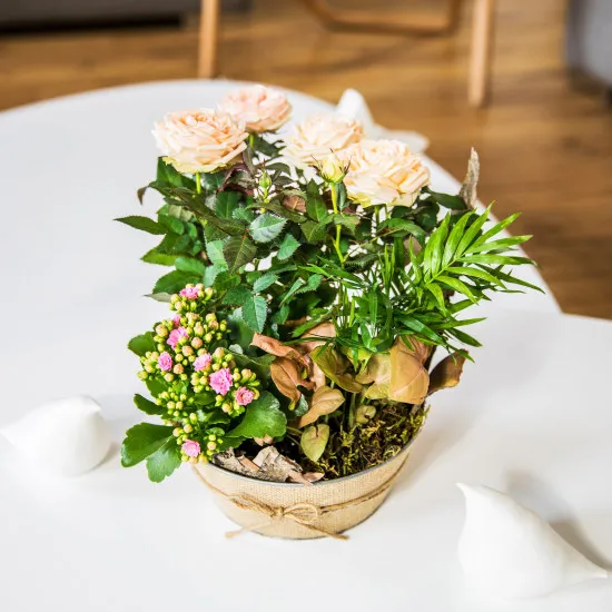 Coin de paradis et son champagne Devaux