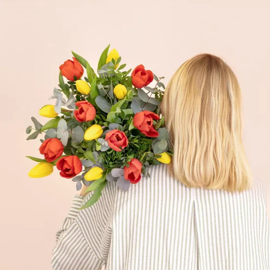 Multicoloured tulips