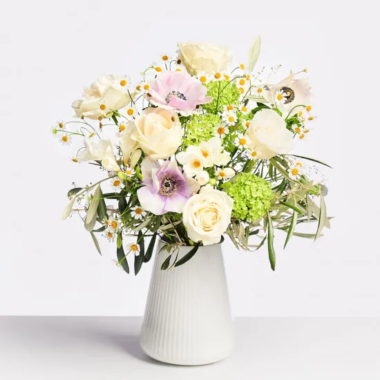 World Improver Woman