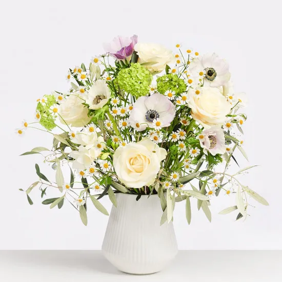 World Improver Woman