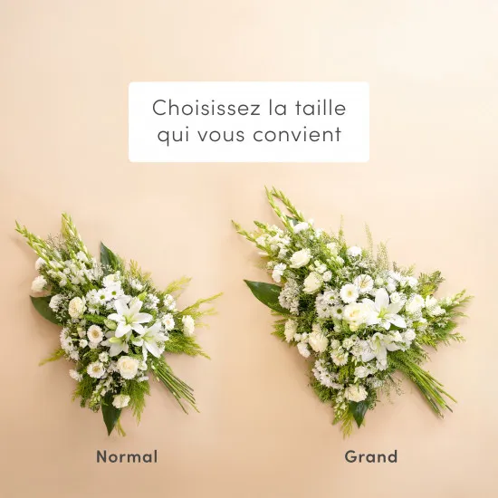 Voyage astral blanc