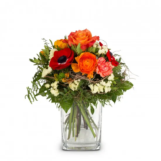 Spring Surprise