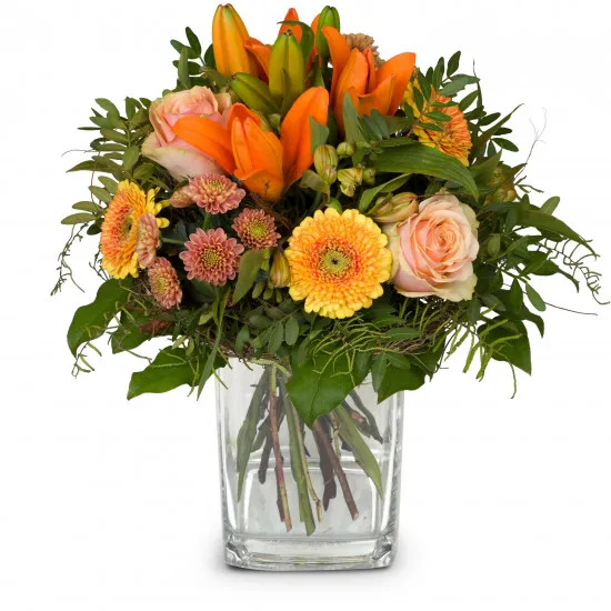 Wonderful Day with Lily