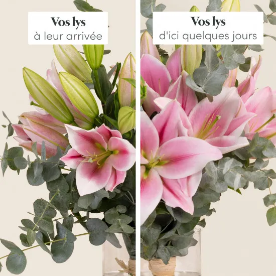 Nos magnifiques lys - Our beautiful lilies