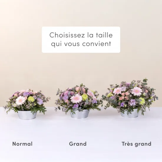 Zeste tendre et ses amandes au chocolat