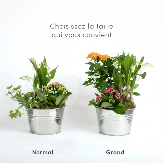 Composition du 1er mai - Composition of May 1st
