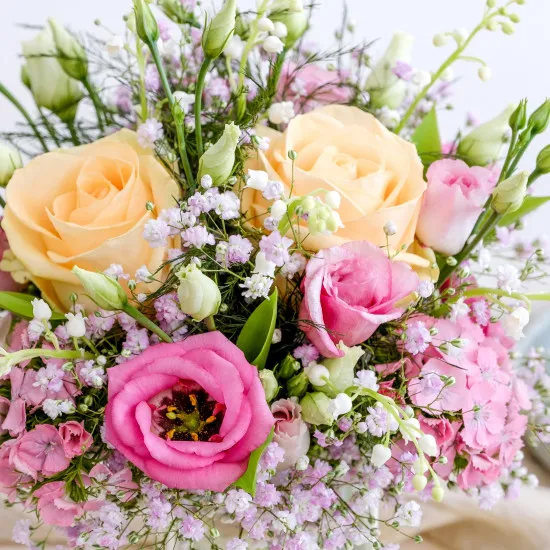 Petit bonheur et ses chocolats