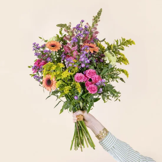 Chanson Douce et sa bulle d'eau