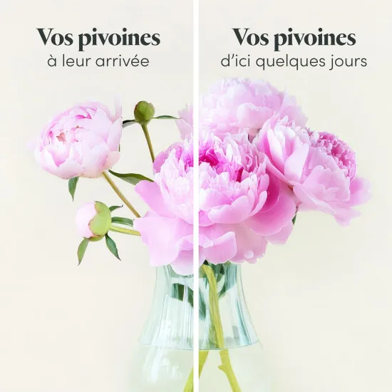Petit bouquet de saison avec pivoines - With peonies