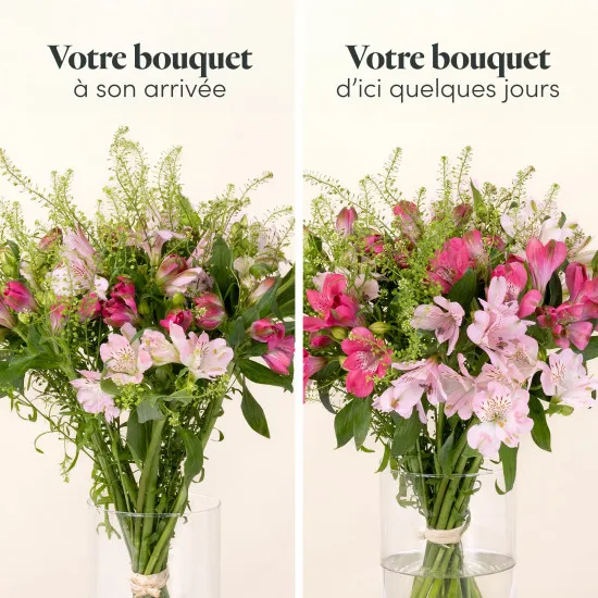 Elle et sa carte message - with message card