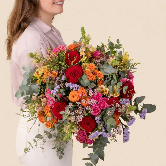 Rainbow - Arc en ciel