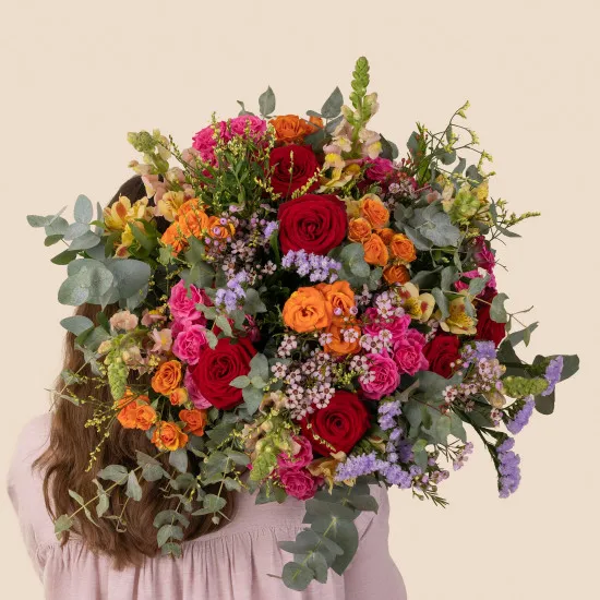 Rainbow - Arc en ciel