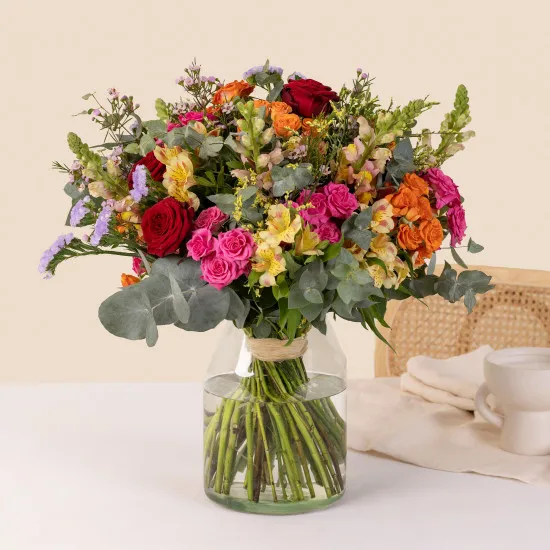 Rainbow - Arc en ciel