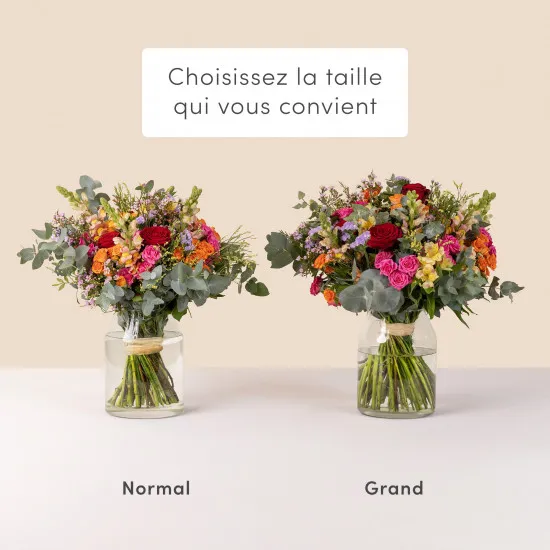 Rainbow - Arc en ciel