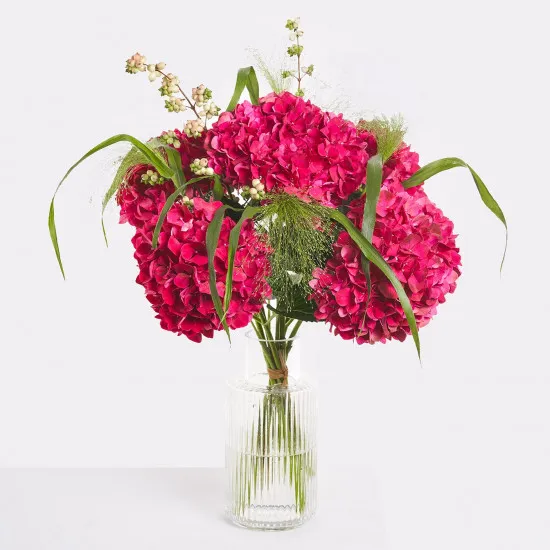 Hydrangea Delight