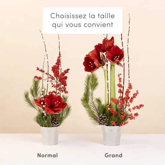 Fete enchantee - Enchanted party