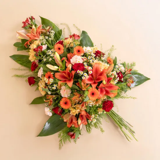 Orange astral travel