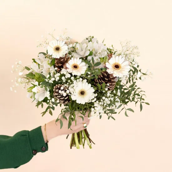 Snowflake - Flocon de neige