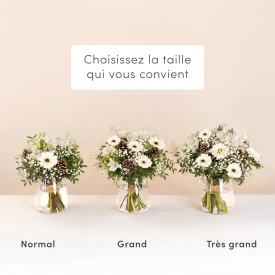 Snowflake - Flocon de neige