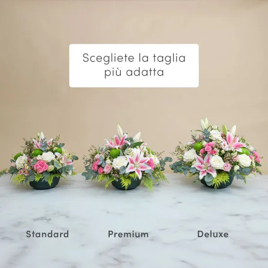 Conforto delicato