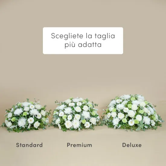 Omaggio bianco