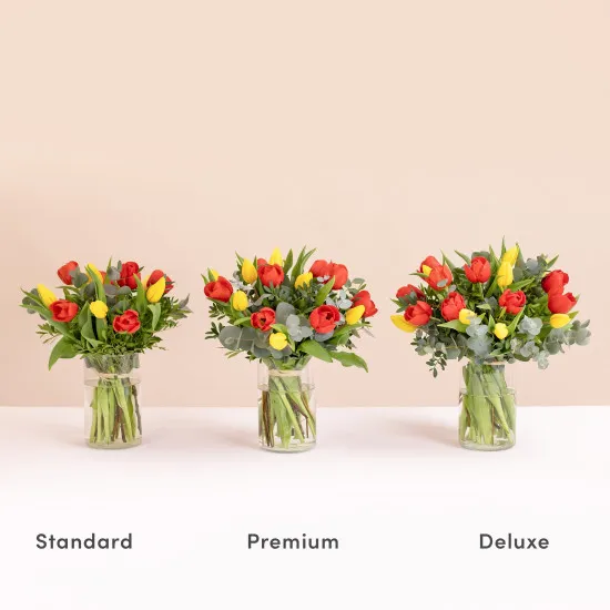 Multicoloured tulips