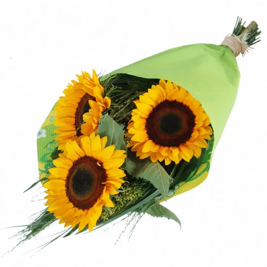 Three sunflowers composition